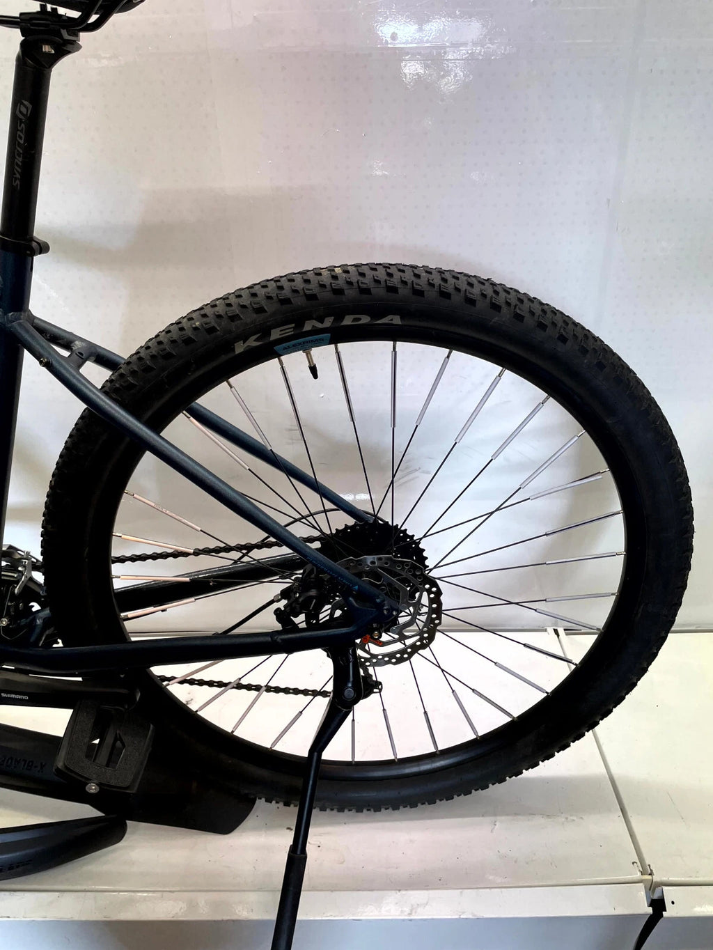 Bergamont Revox 5