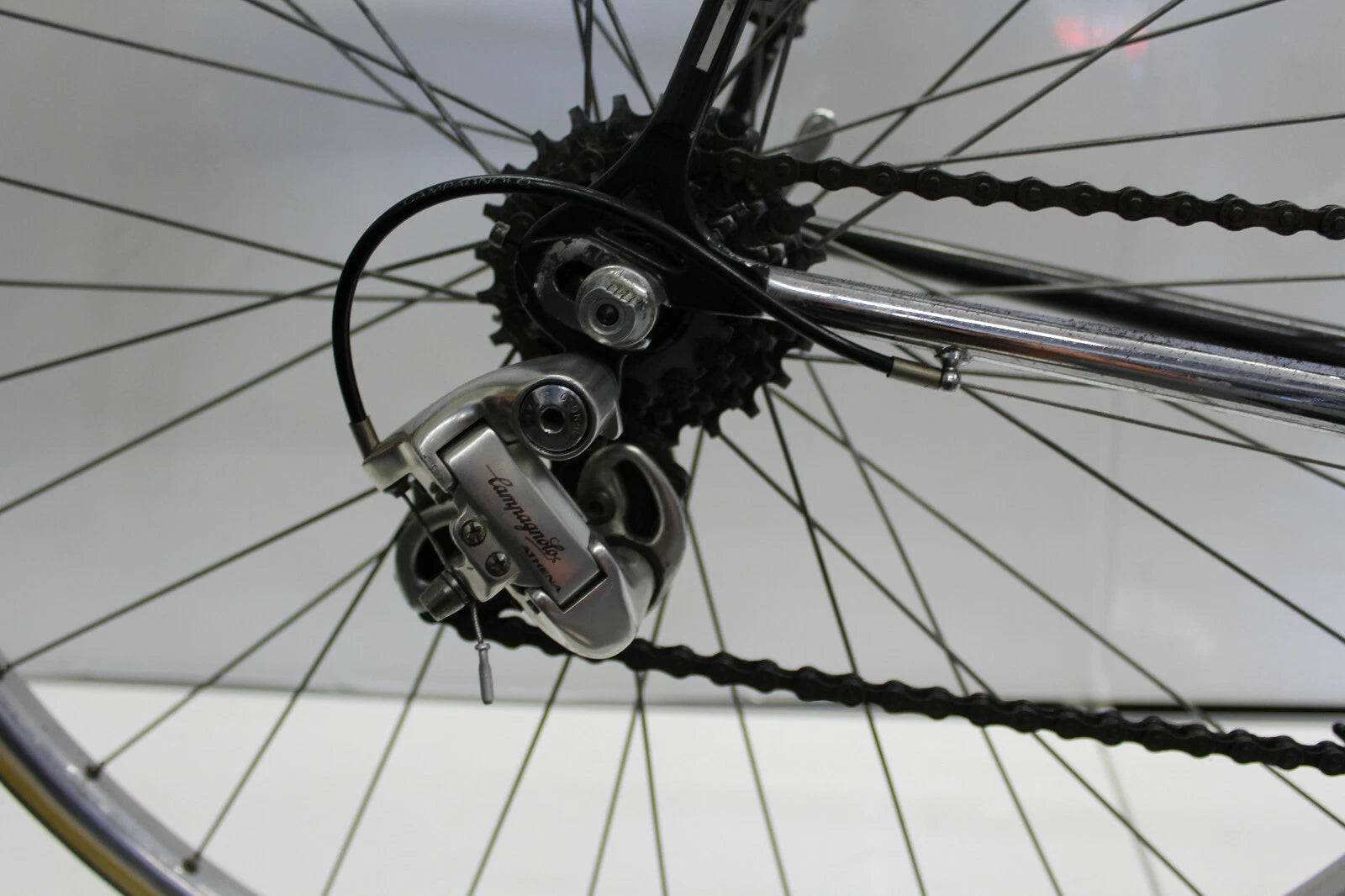 Concorde Colombo Rennrad