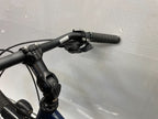 Froschrad Fahrrad, hochwertig, Alfine etc.