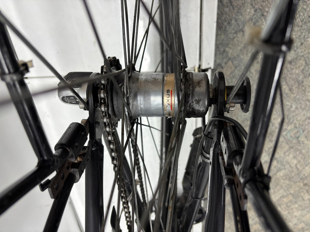 Prophete Geniesser e1.9 E-Bike- tiefer Einstieg