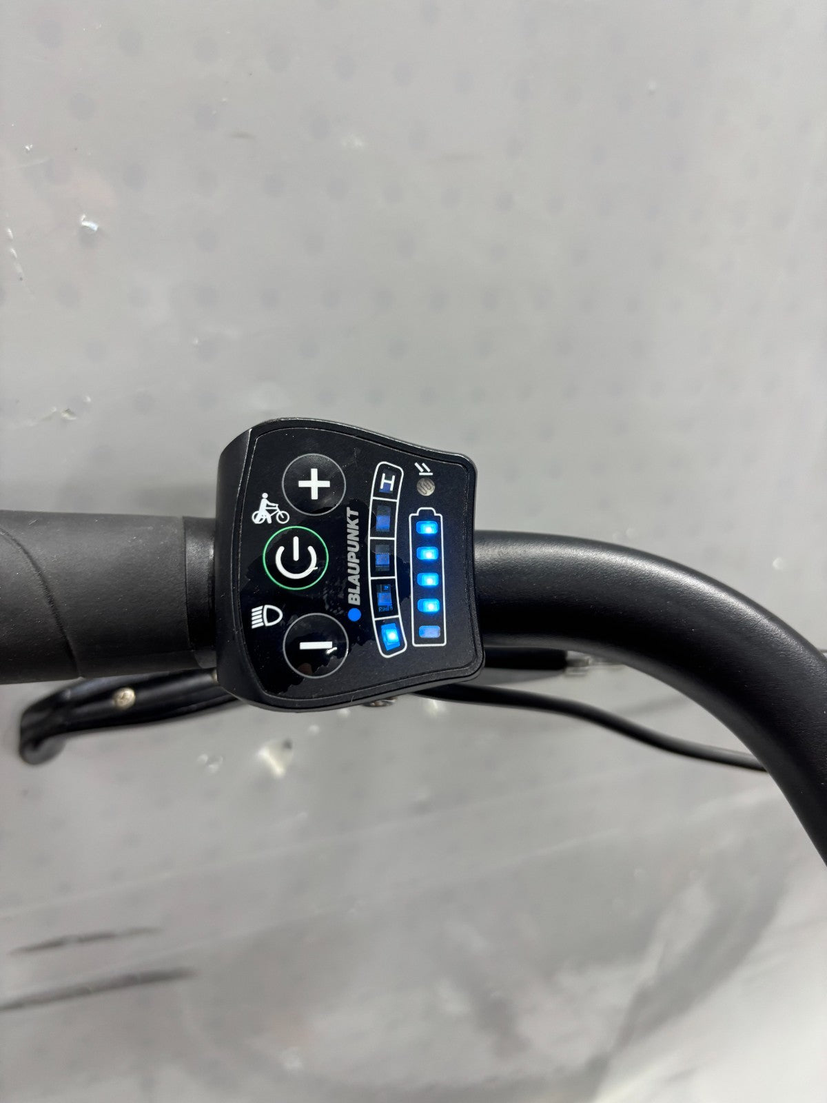 Prophete Geniesser e1.9 E-Bike- tiefer Einstieg