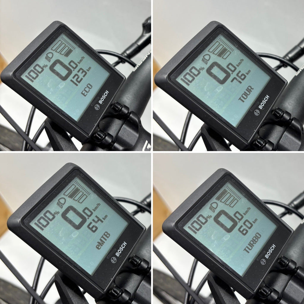 Genesis E-Series Touring, keine 200 KM gefahren!