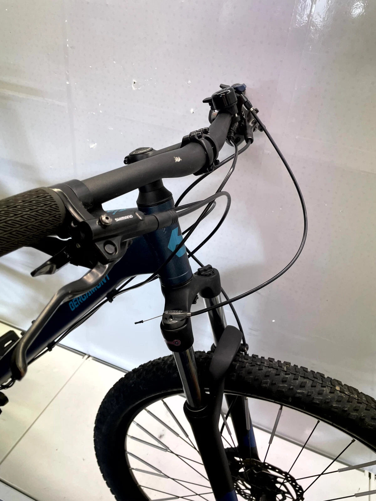 Bergamont Revox 5