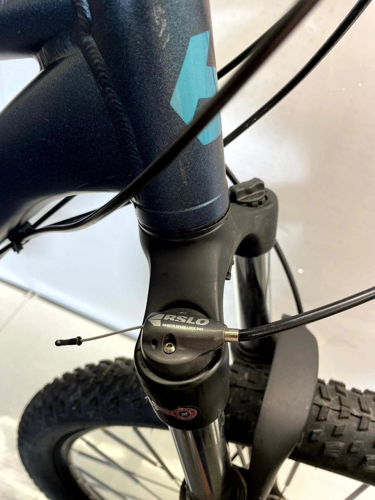 Bergamont Revox 5