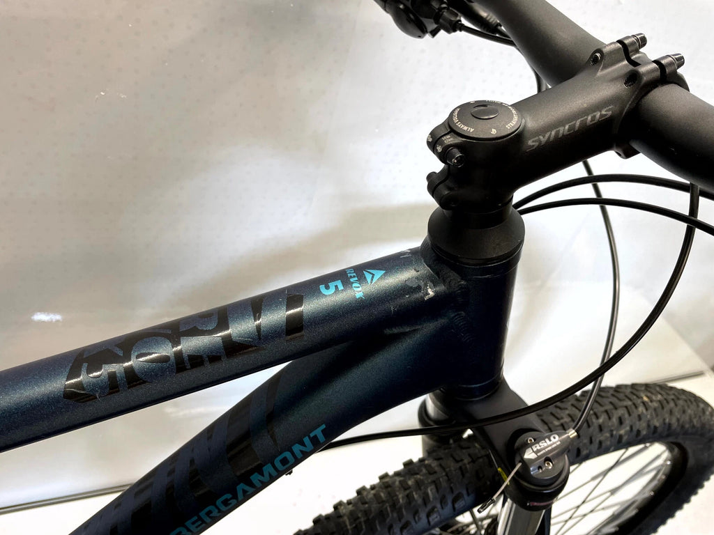 Bergamont Revox 5