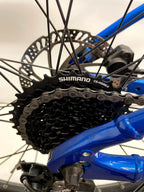 GIANT FATHOM E-Mountainbike - Rahmengröße L