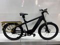Riese & Müller Multicharger GT Vario, Lastenrad
