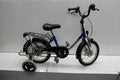 Schuchmann Kinder Therapierad Fahrrad 16 Zoll für Kinder mit Beeinträchtigungen mit Stützrädern