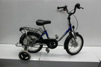 Schuchmann Kinder Therapierad Fahrrad 16 Zoll für Kinder mit Beeinträchtigungen mit Stützrädern