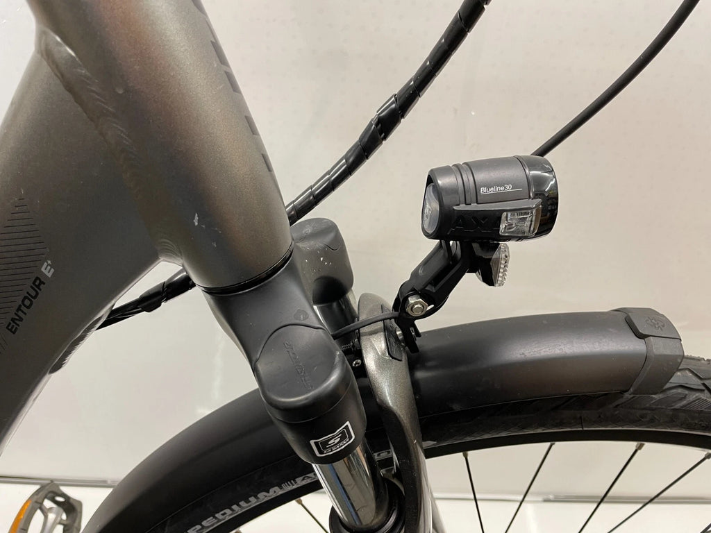 GIANT Entour E+ - Rahmengröße M