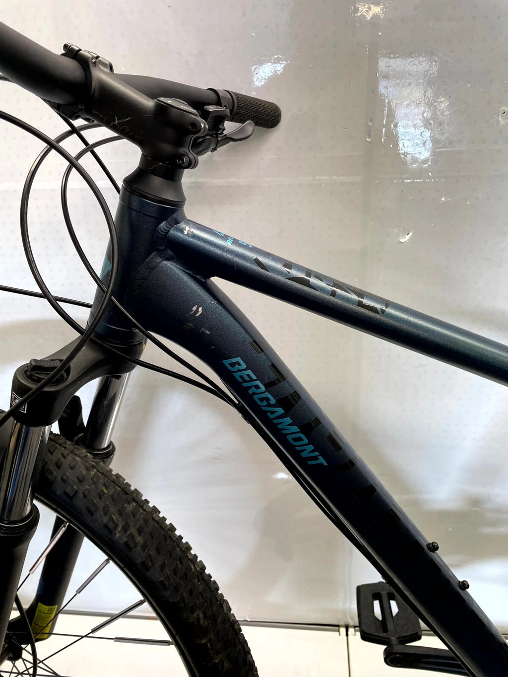 Bergamont Revox 5