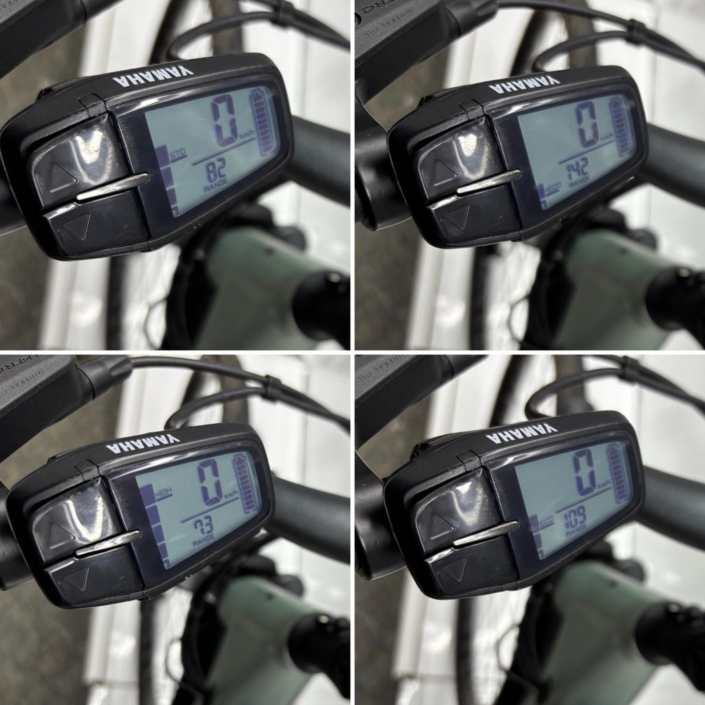 Raymon Cityray E1.0 Damen E-Bike