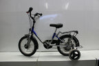 Schuchmann Kinder Therapierad Fahrrad 16 Zoll für Kinder mit Beeinträchtigungen mit Stützrädern