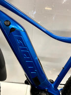 GIANT FATHOM E-Mountainbike - Rahmengröße L