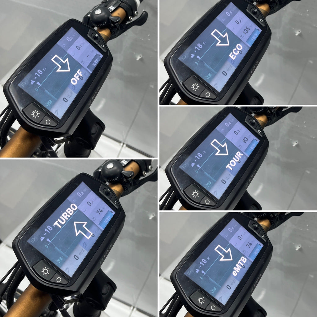 Pegasus Premio Evo 10