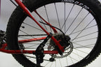 Cannondale Mountainbike SL4 Trail