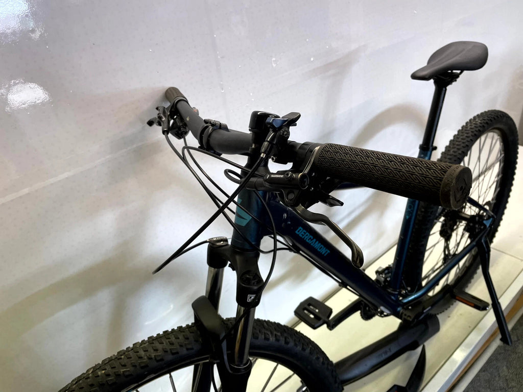 Bergamont Revox 5