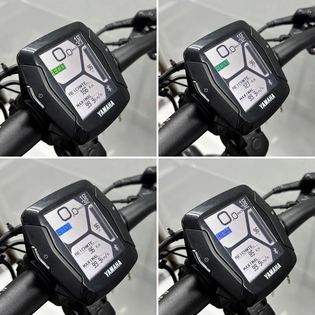 Raymon Mountainbike E-Bike