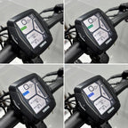 Raymon Mountainbike E-Bike