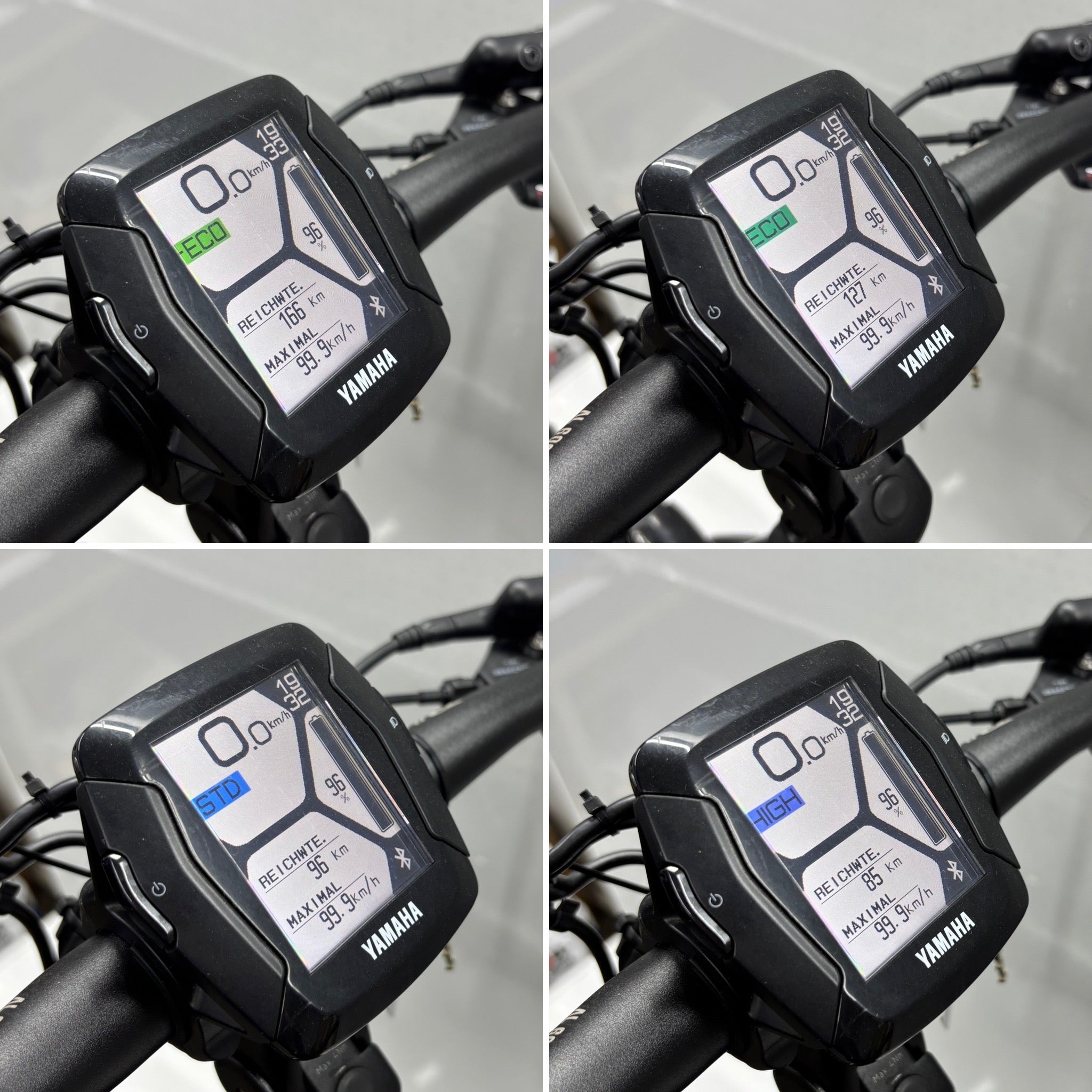 Raymon Mountainbike E-Bike