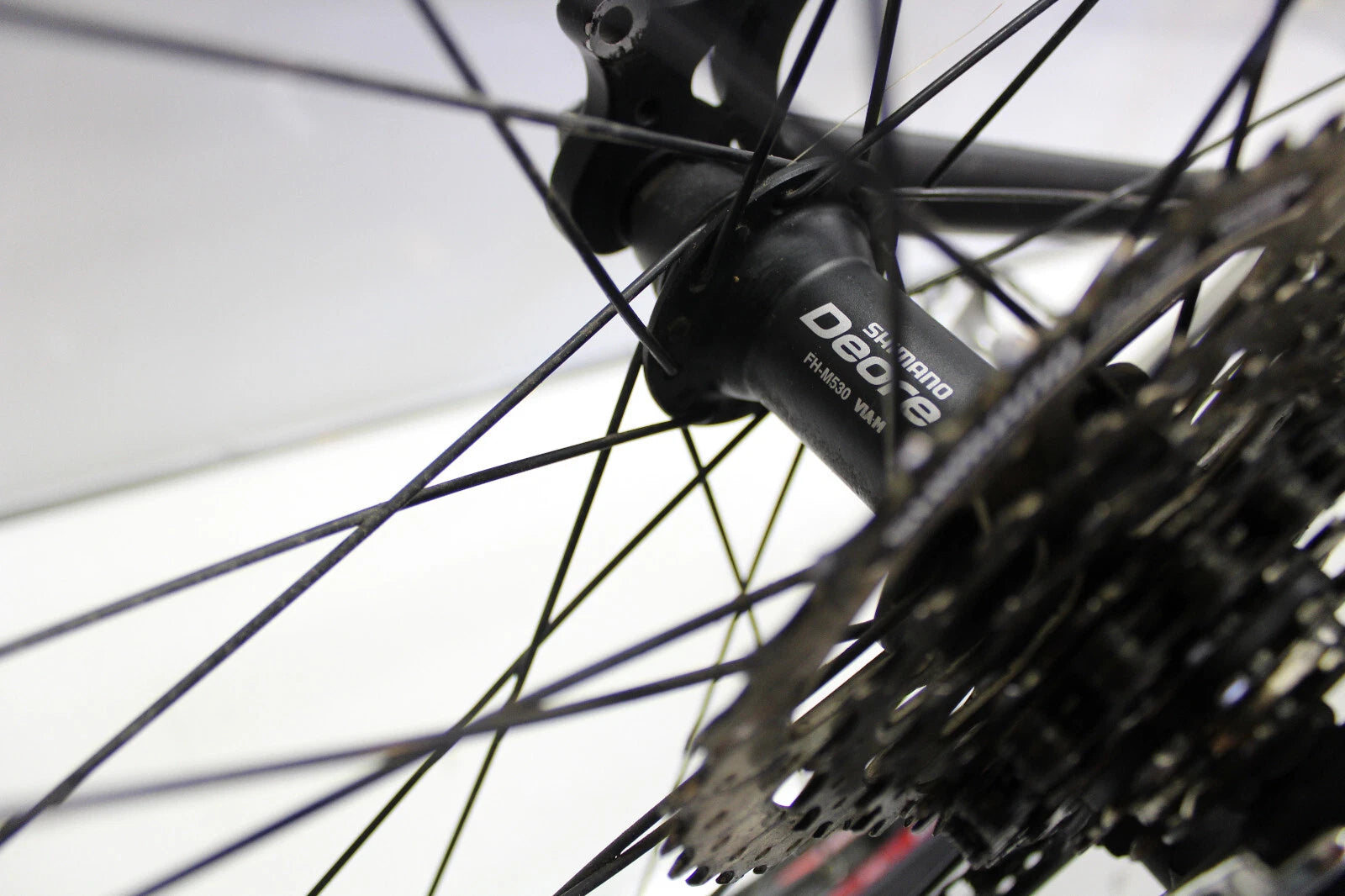 Steppenwolf Timber Mountainbike