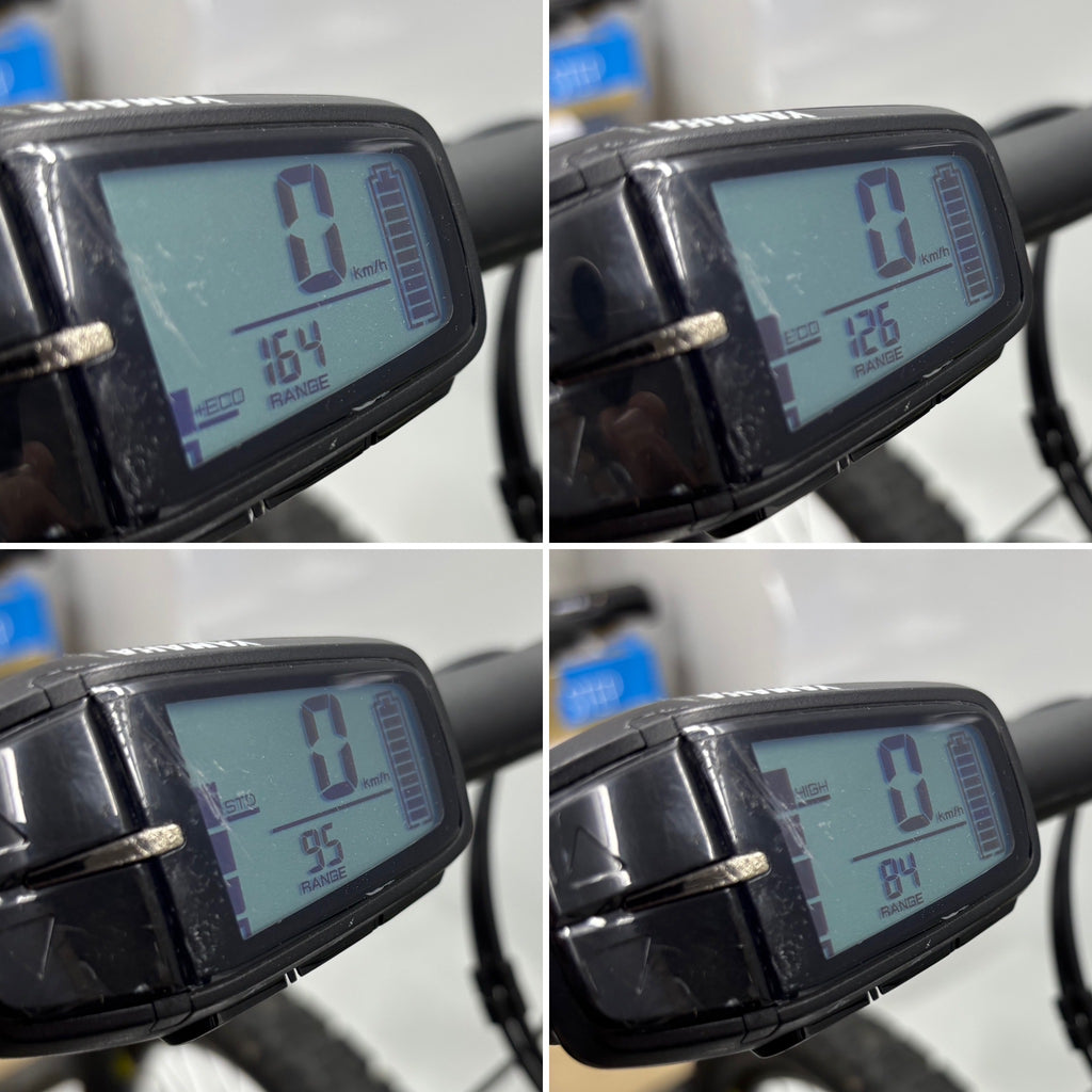 Raymon Hard Ray 4.0 E-Bike