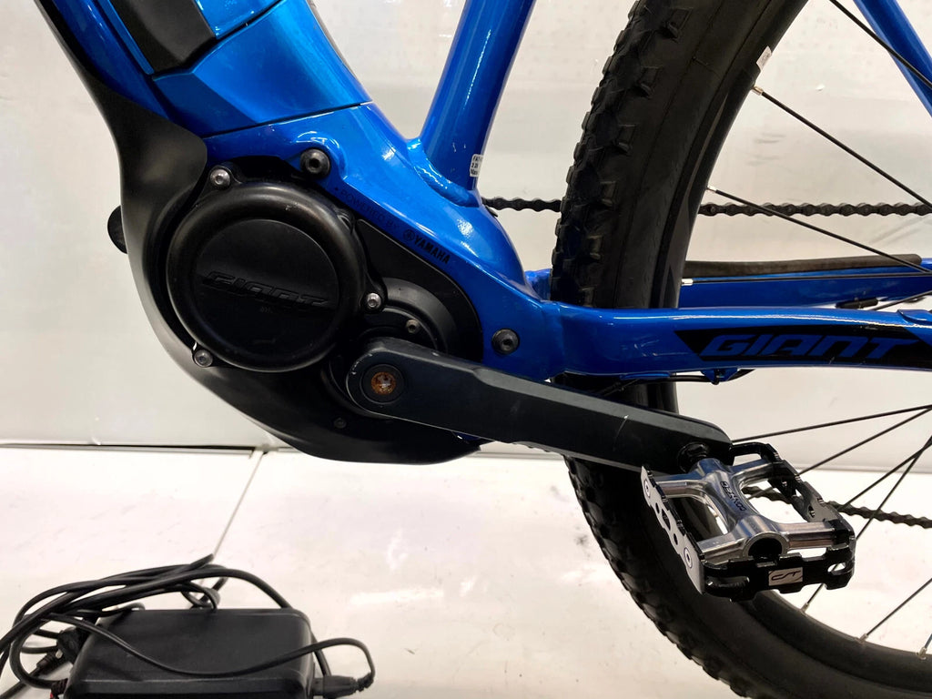 GIANT FATHOM E-Mountainbike - Rahmengröße L