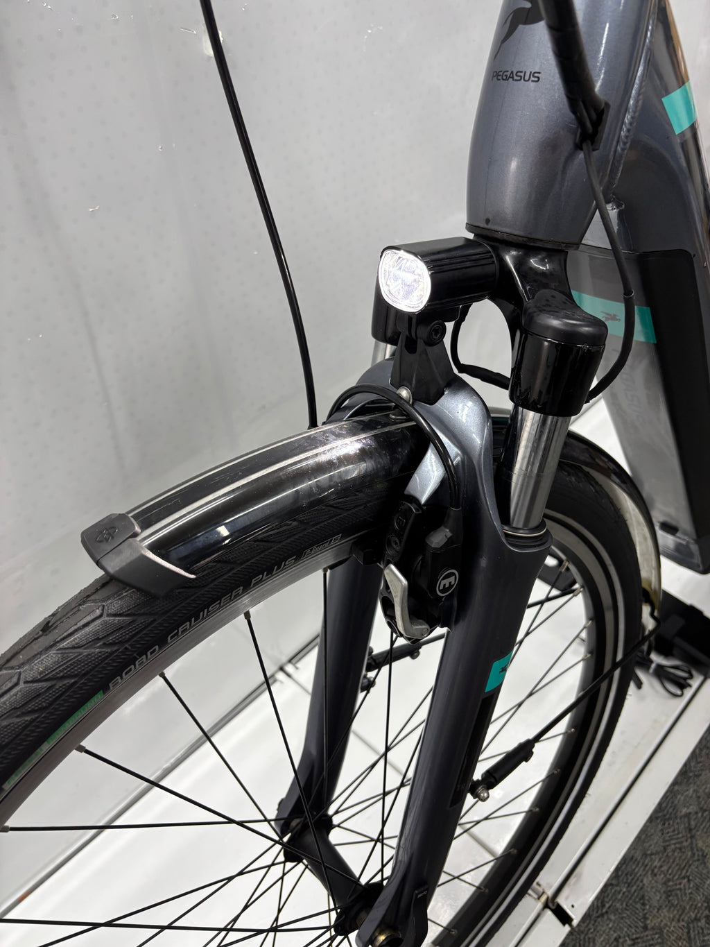 Pegasus Premio EV Damen