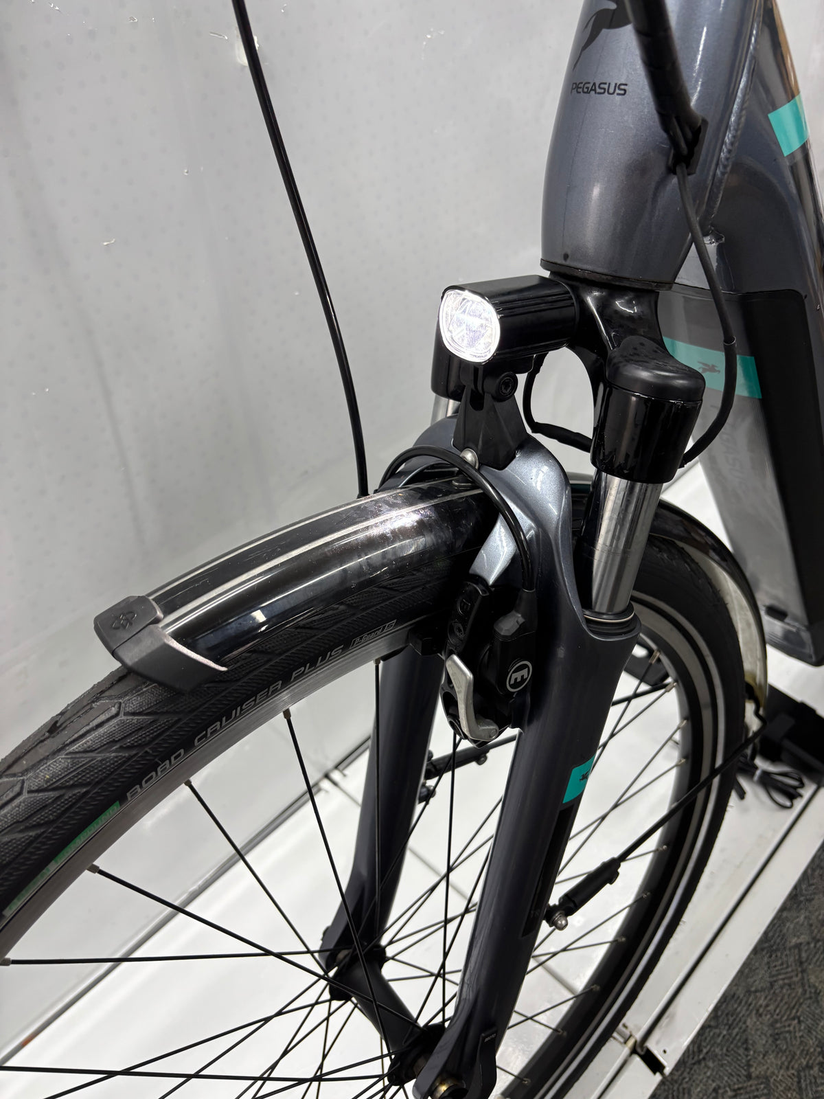 Pegasus Premio EV Damen