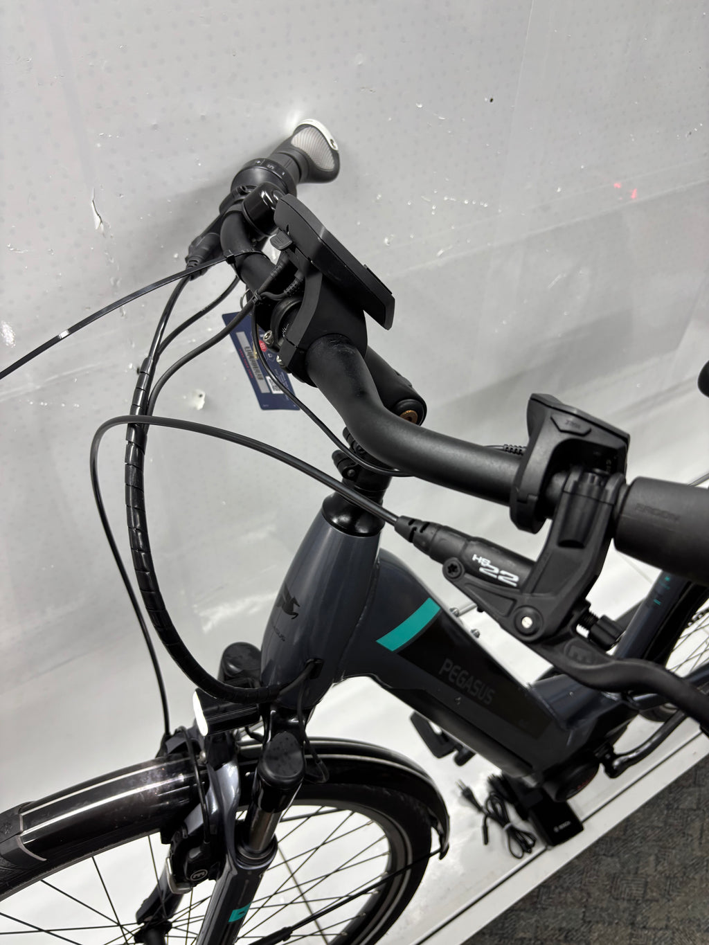 Pegasus Premio EV Damen