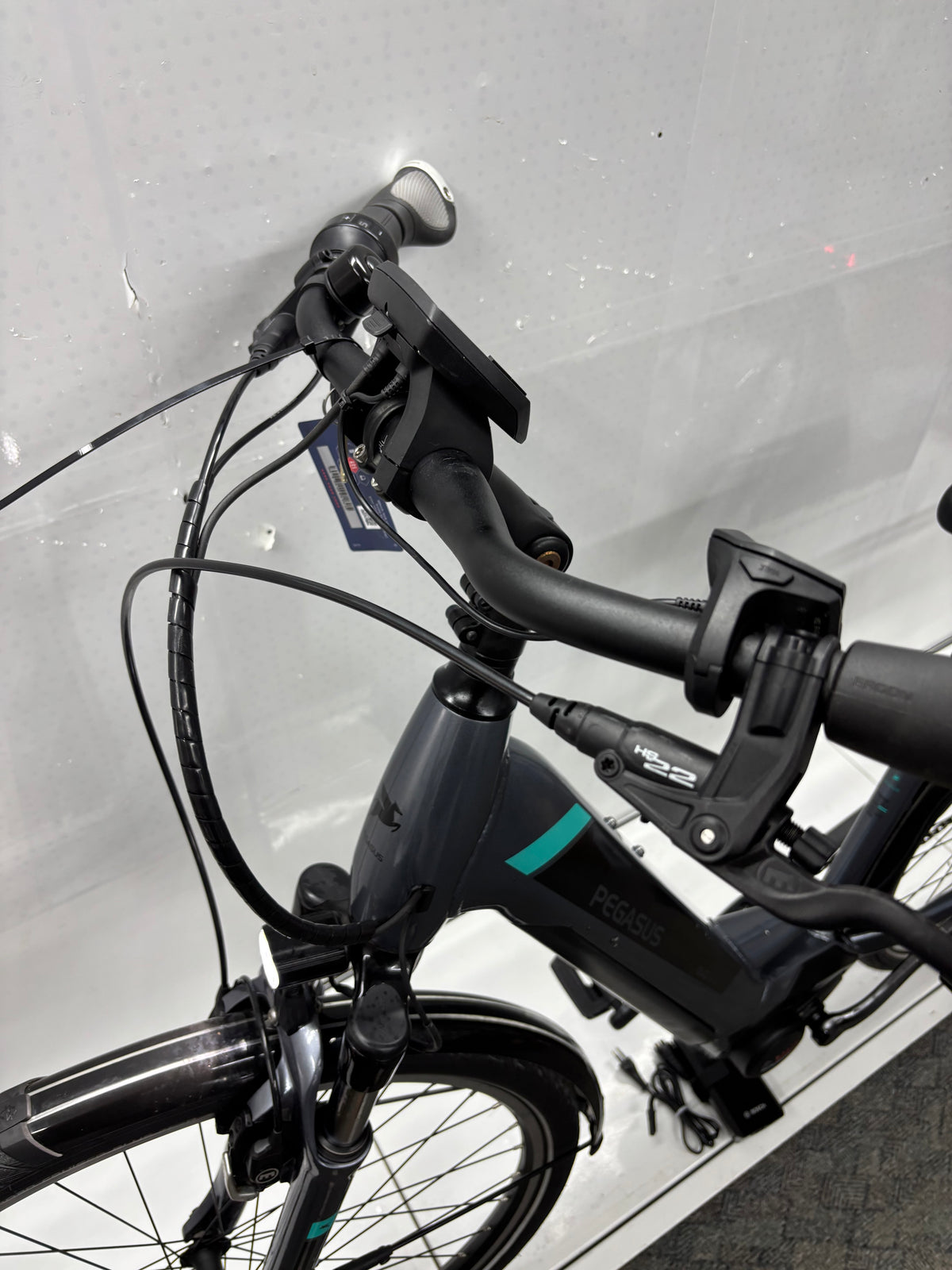 Pegasus Premio EV Damen