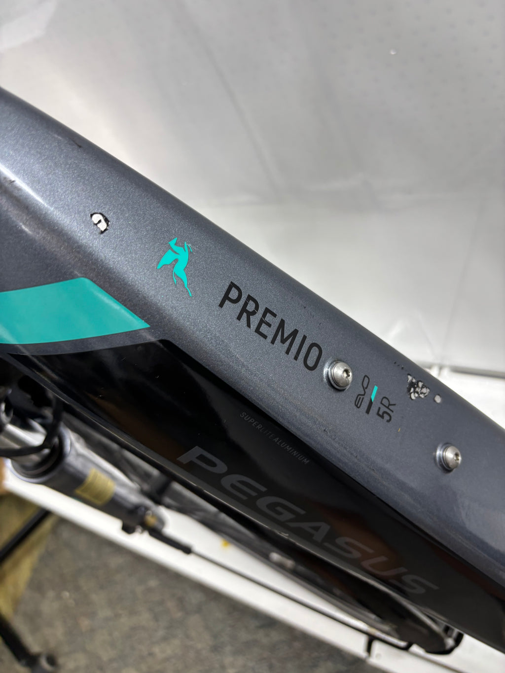 Pegasus Premio EV Damen