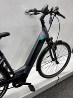 Pegasus Premio EV Damen