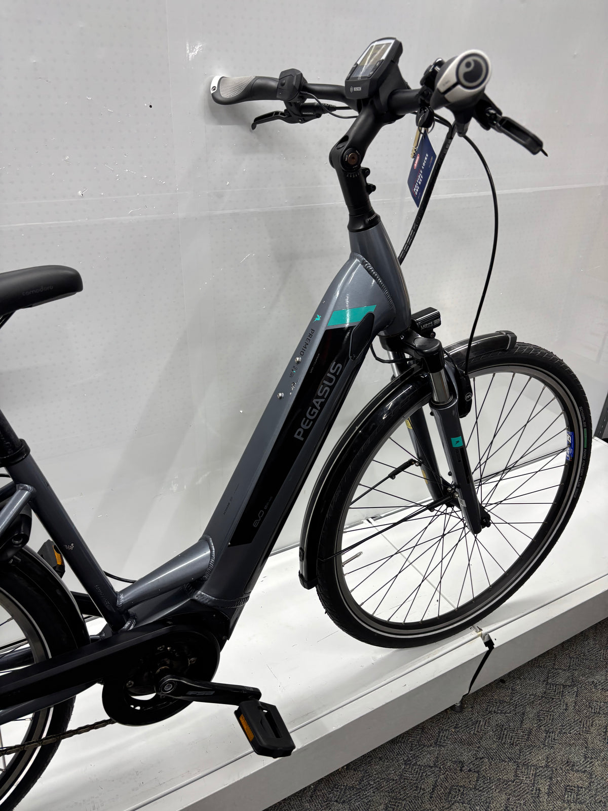 Pegasus Premio EV Damen