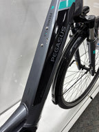 Pegasus Premio EV Damen