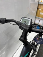 Pegasus Premio EV Damen