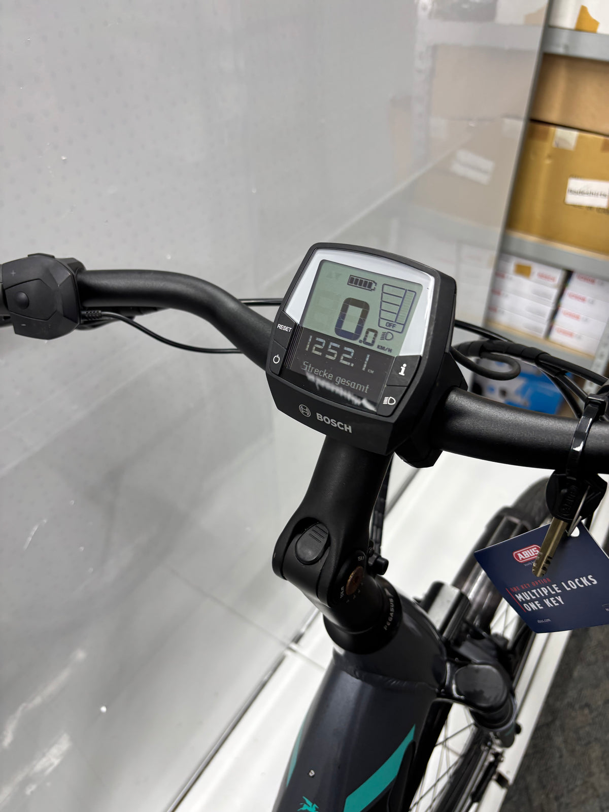 Pegasus Premio EV Damen