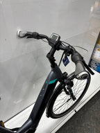 Pegasus Premio EV Damen