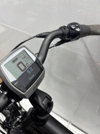 Kettler Herren E-Bike