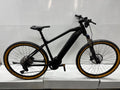 IF E-MTB viele Neuteile + Bosch Prüfbericht