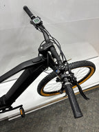 IF E-MTB viele Neuteile + Bosch Prüfbericht
