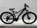 Bulls Sharptail Street 3 - BASTLER