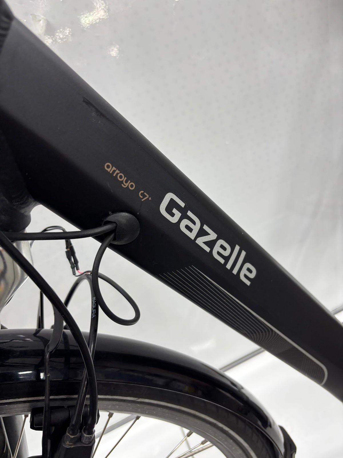 Gazelle Arroyo C7+ - BASTLER
