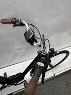 Gazelle Arroyo C7+ - BASTLER