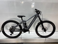 Scott Ransom eRide 920 Fully