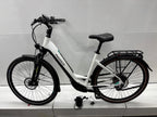 Pegasus Premio EV Un Fahrrad - Bastlerrad - DEFEKT - viele gute Teile