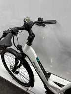 Pegasus Premio EV Un Fahrrad - Bastlerrad - DEFEKT - viele gute Teile