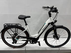 Pegasus Premio EV Un Fahrrad - Bastlerrad - DEFEKT - viele gute Teile