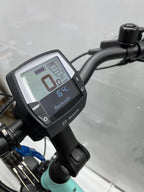 Pegasus Solero E8R Plus, keine 450 Km gefahren!
