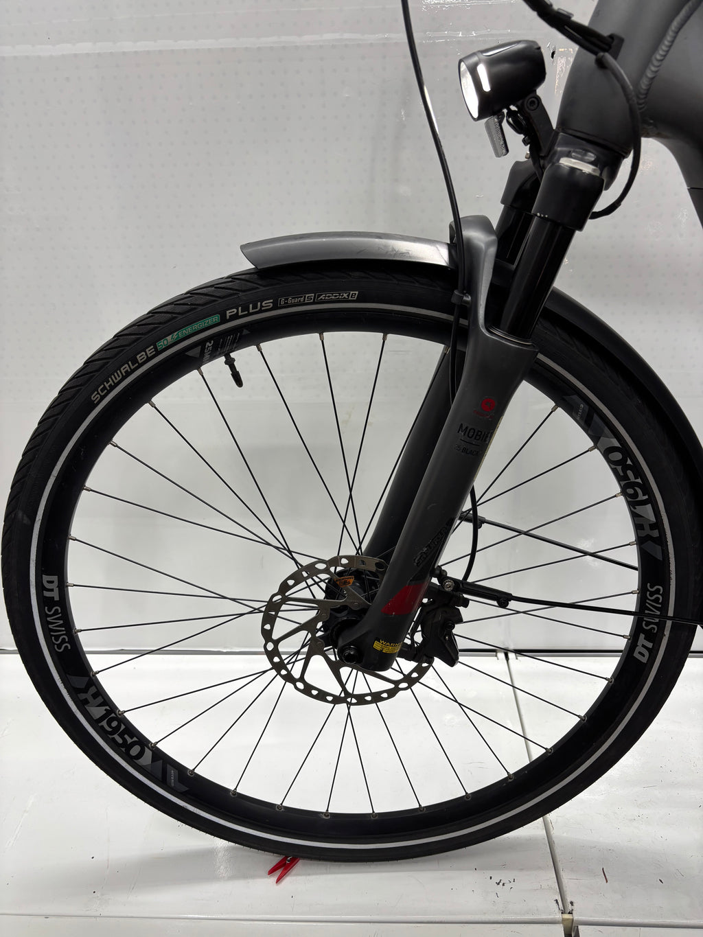 Pegasus Strong EVO 9, RH63 für große Männer